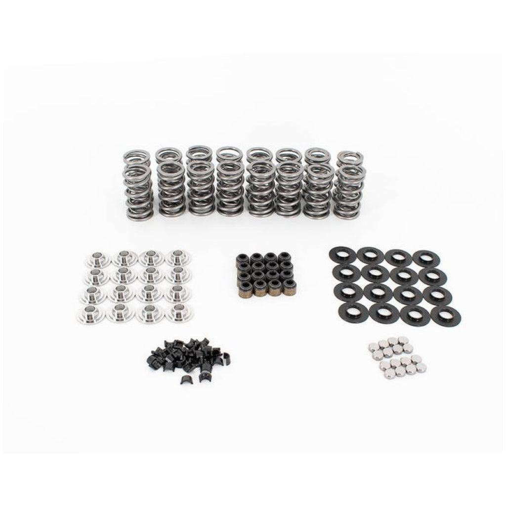 Brian Tooley Racing GM LS .685" Valve Spring Kit with Valve Tip Savers