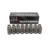 Brian Tooley Racing GM Stock Replacement LS Truck Valve Springs