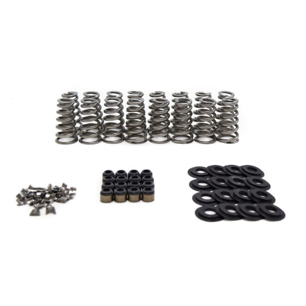 Brian Tooley Racing GM Gen 5 LT .650" Conical Valve Spring Kit