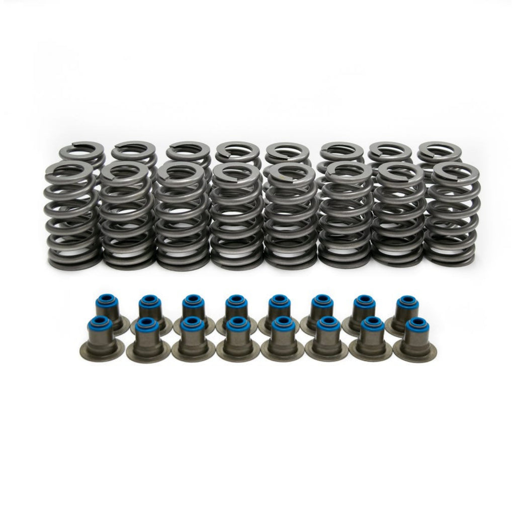 Brian Tooley Racing GM LS .560" Valve Spring Kit with Seals